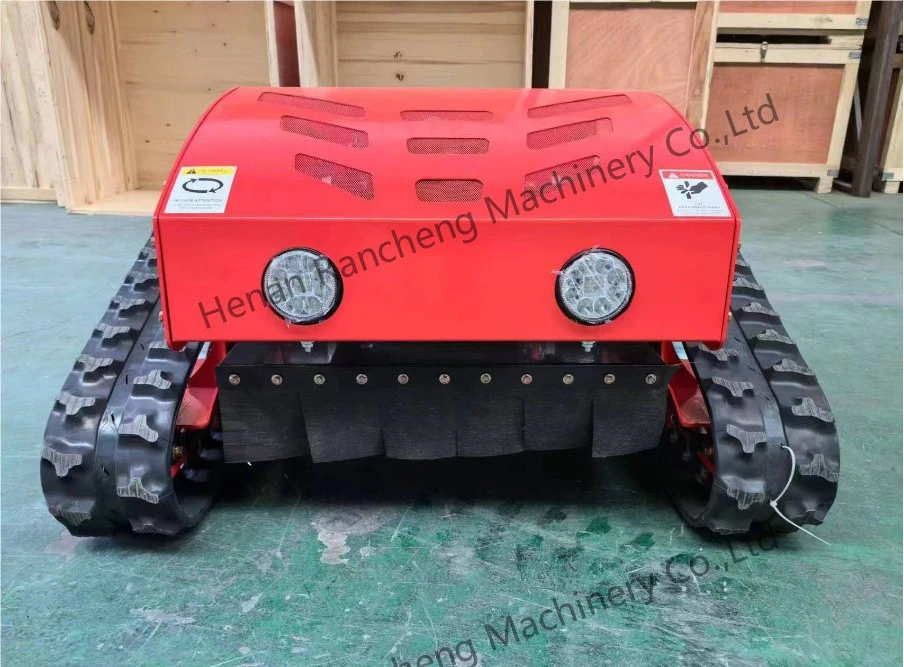 Small Gas Lawn Mower (3)